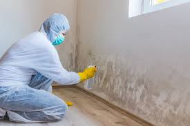 Best Asbestos and Lead Testing During Mold Inspection in Myerstown, PA