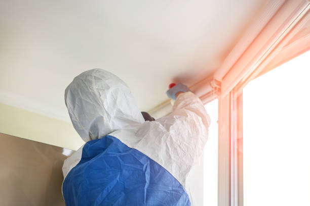 Mold Remediation for Rental Properties